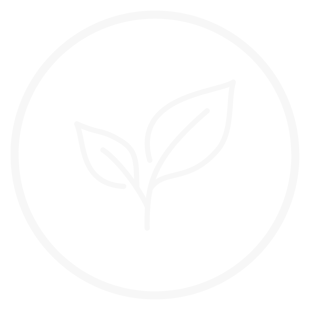 prad rio grande do sul